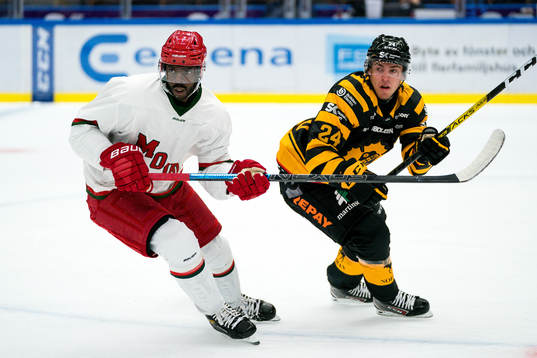 Modos Edwin Hedberg