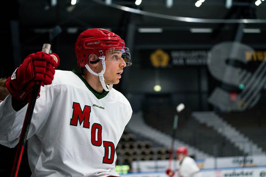 Modos Brendan Mikkelson
