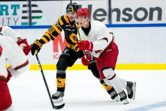 Skellefteås Jonathan Johnson