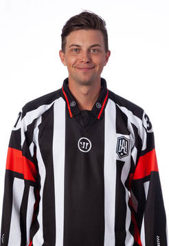 Domare Johan Wedin