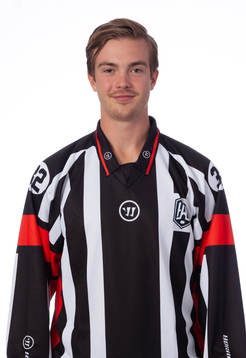 Domare Filip Eriksson