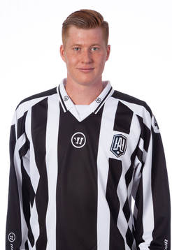 Linjedomare Teodor Sörholm