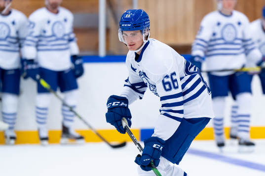 Leksands Nils Åman