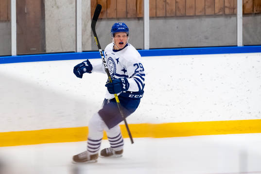 Leksands Emil Heineman jublar