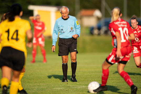 Domare Dragan Sinik