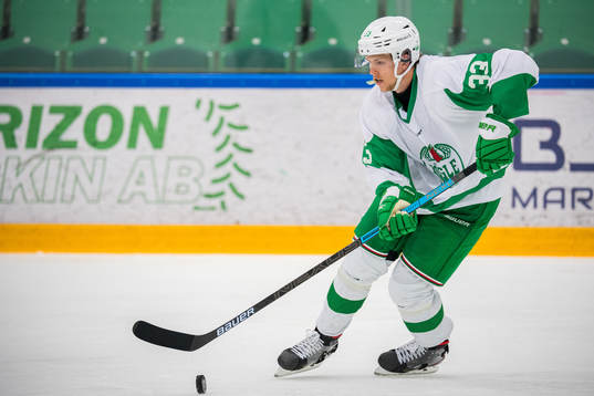 Rögles Niklas Hansson