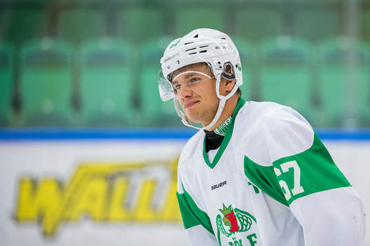 Rögles Leon Bristedt
