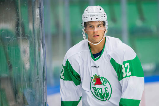 Rögles Kalle Miketinac