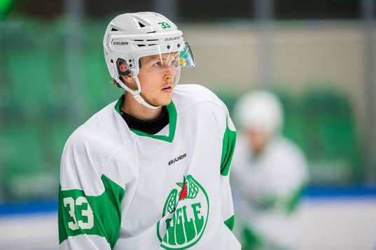 Rögles Niklas Hansson