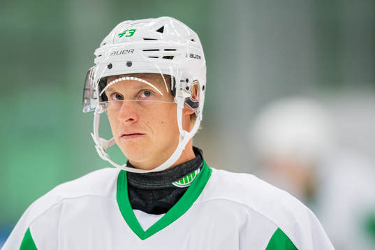 Rögles Olli Palola