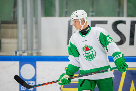 Rögles Olli Palola