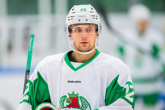 Rögles Daniel Zaar