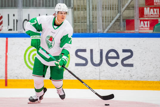 Rögles Erlend Lesund