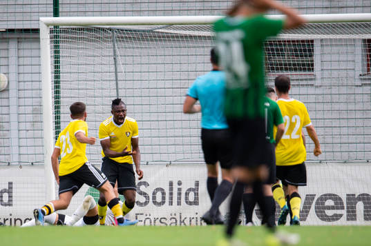 Malmö Citys Steven Gabriel jublar