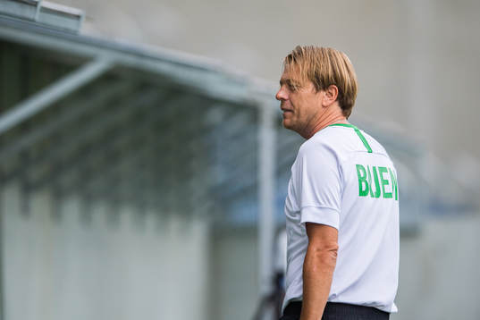 Hammarbys assisterande tränare Tony Gustavsson