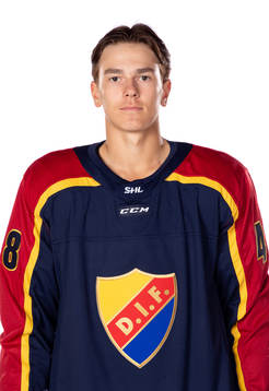 Djurgårdens Pontus Johnsson