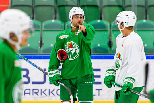 Bläddra bland fler bilder av Ishockey, SHL, Rögle, Träning 