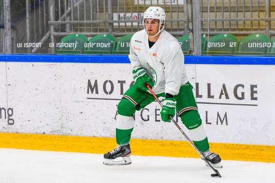 Nils Höglander