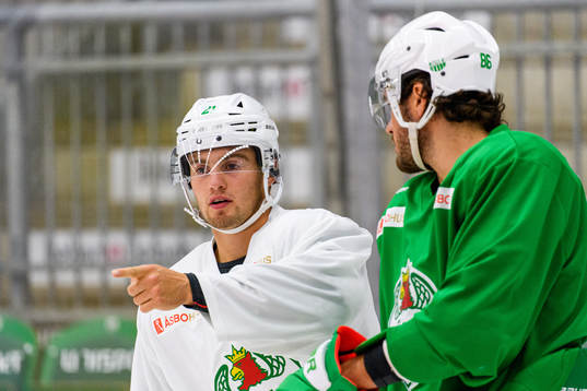 Nils Höglander