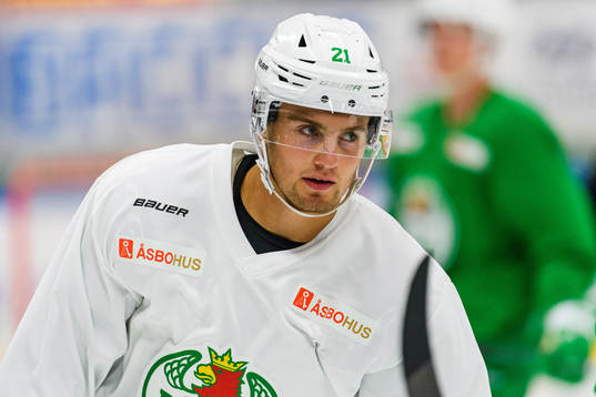 Nils Höglander