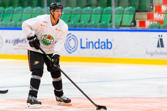 Anaheim Ducks Hampus Lindholm