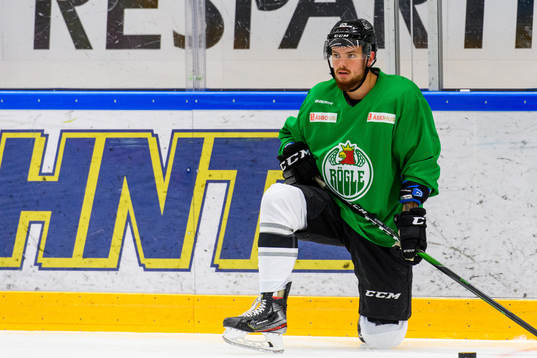 Vegas Golden Knights Lucas Elvenes