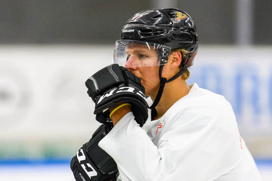 Anaheim Ducks Hampus Lindholm