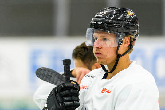 Anaheim Ducks Hampus Lindholm