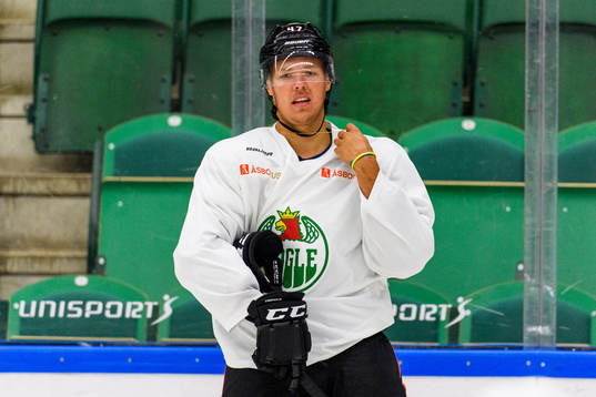 Anaheim Ducks Hampus Lindholm