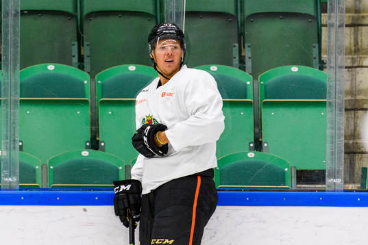 Anaheim Ducks Hampus Lindholm