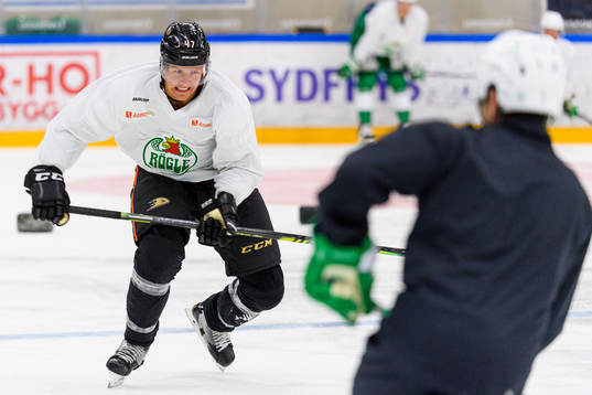 Anaheim Ducks Hampus Lindholm