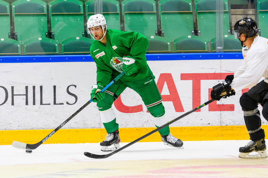 Daniel Zaar