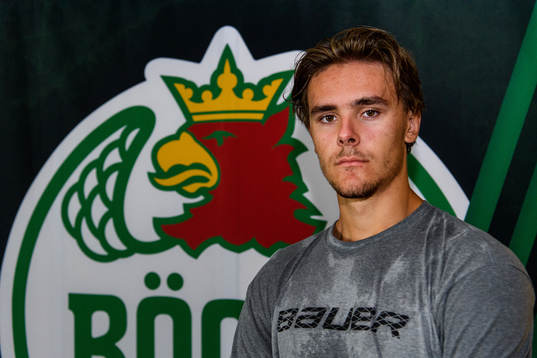 Raphael Lavoie