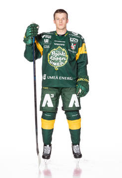 Björklövens Adam Plant