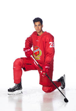 Almtunas David Karlström