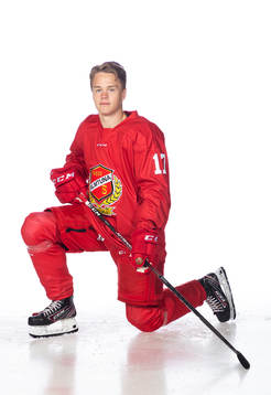Almtunas Teodor Nyström