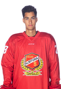 Almtunas David Karlström