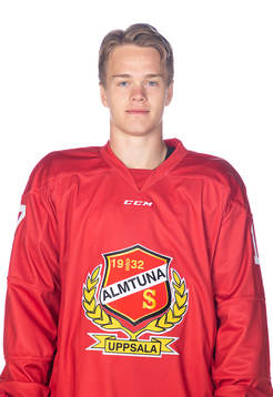 Almtunas Teodor Nyström