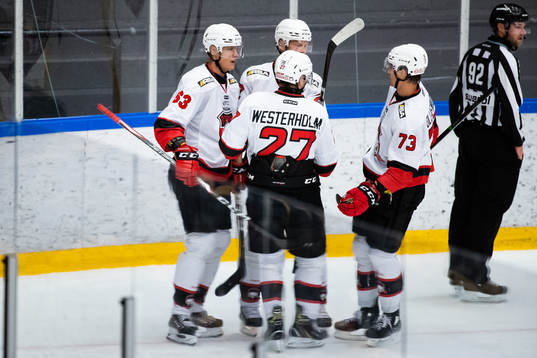 Malmö Redhawks Fredrik Händemark jublar