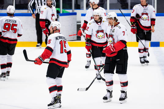 Malmö Redhawks spelare deppar