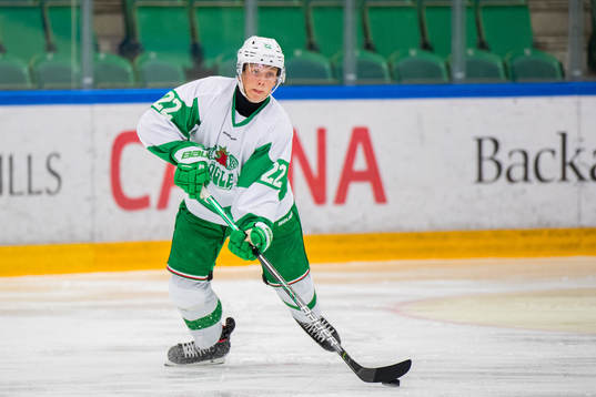 Rögles Samuel Jonsson