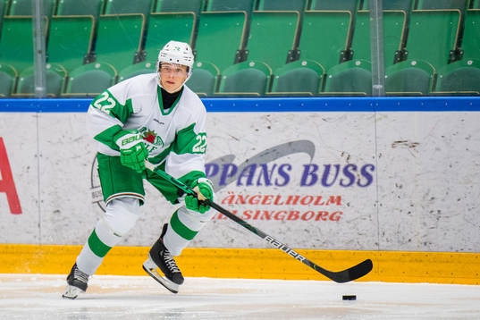 Rögles Samuel Jonsson