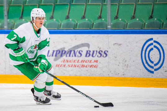 Rögles Erlend Lesund
