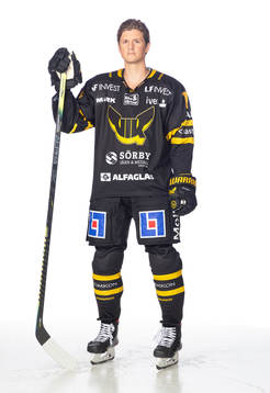 Västerås Viktor Hertzberg