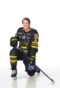 Västerås Alexander Lunsjö