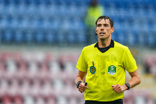 Domare Magnus Lindgren