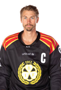 Brynäs Anton Rödin