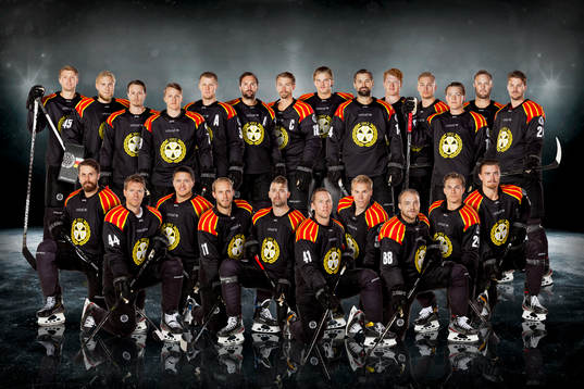 Bläddra bland fler bilder av Ishockey, SHL, Porträtt, Brynäs