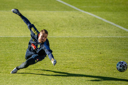 Goalkeeper Kristoffer Nordfeldt of the Swedish national