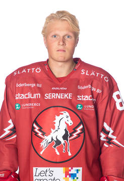 Vita Hästens Anton Johansson